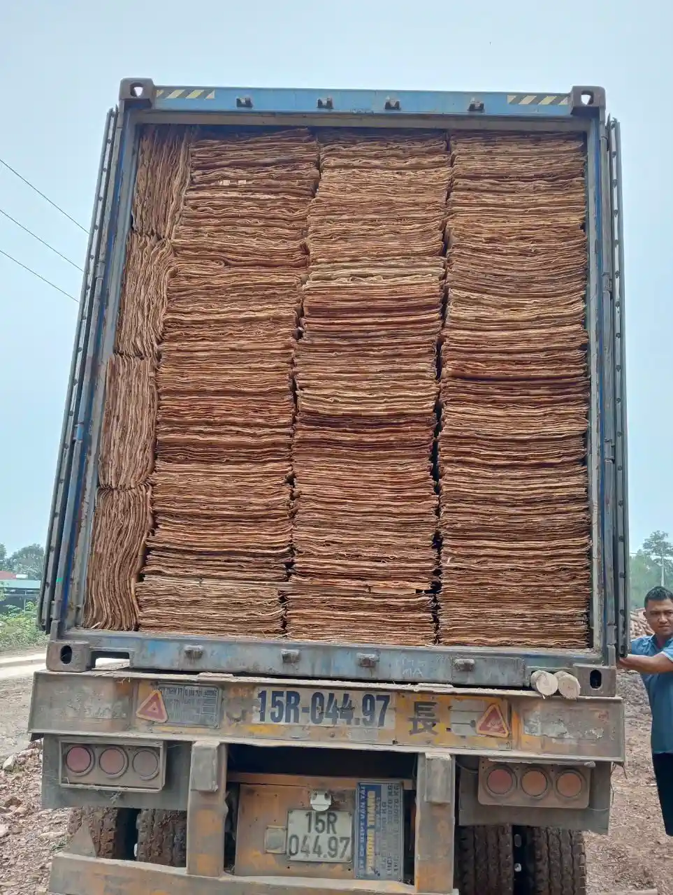 Vietnam plywood export markets — 40HC container loaded at HCPLY factory, Phu Tho, Northern Vietnam