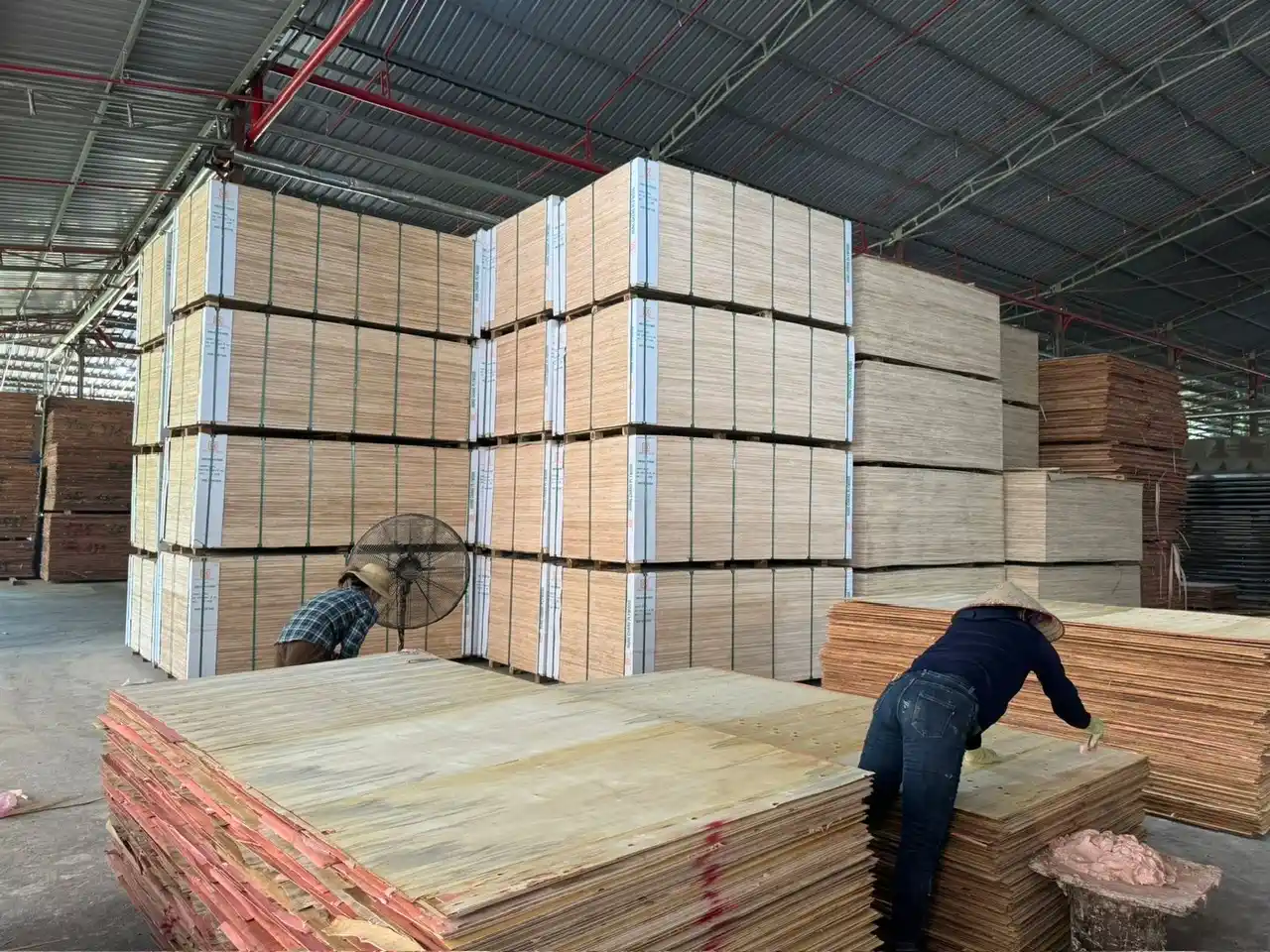 HCPLY plywood factory production line Vietnam
