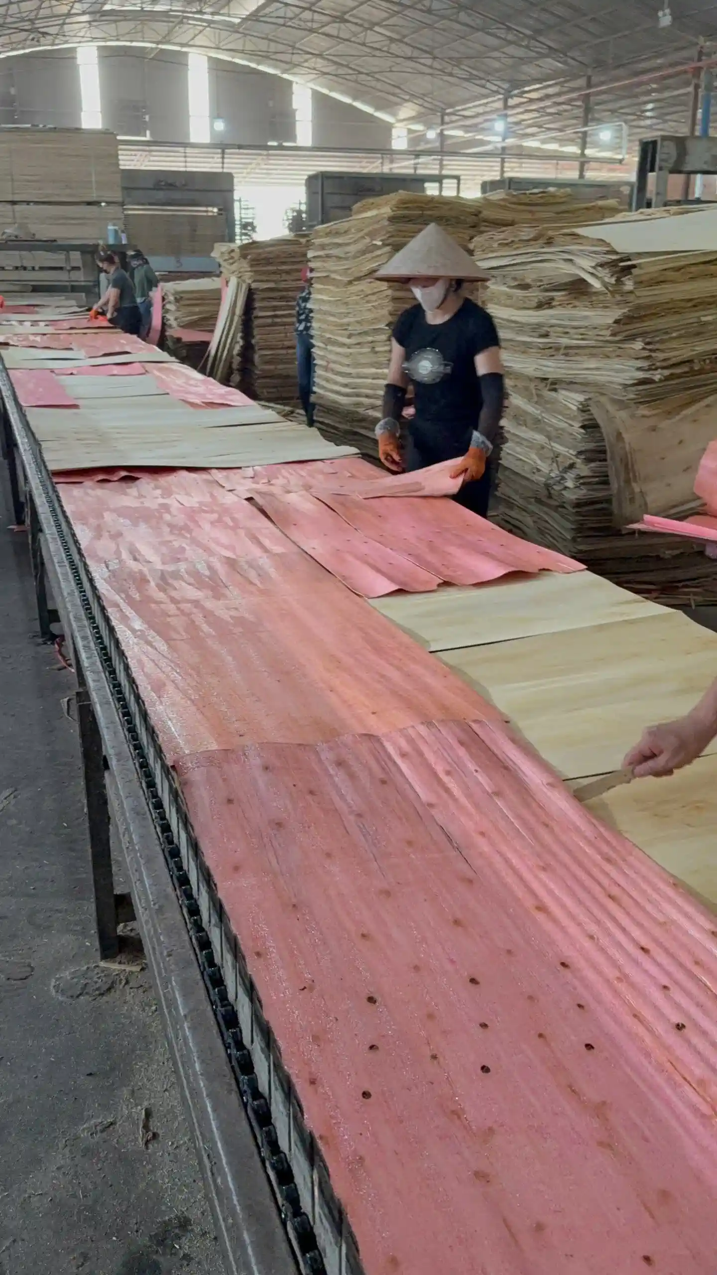 anti-termite anti-mold treatment Vietnam plywood loading container HCPLY factory