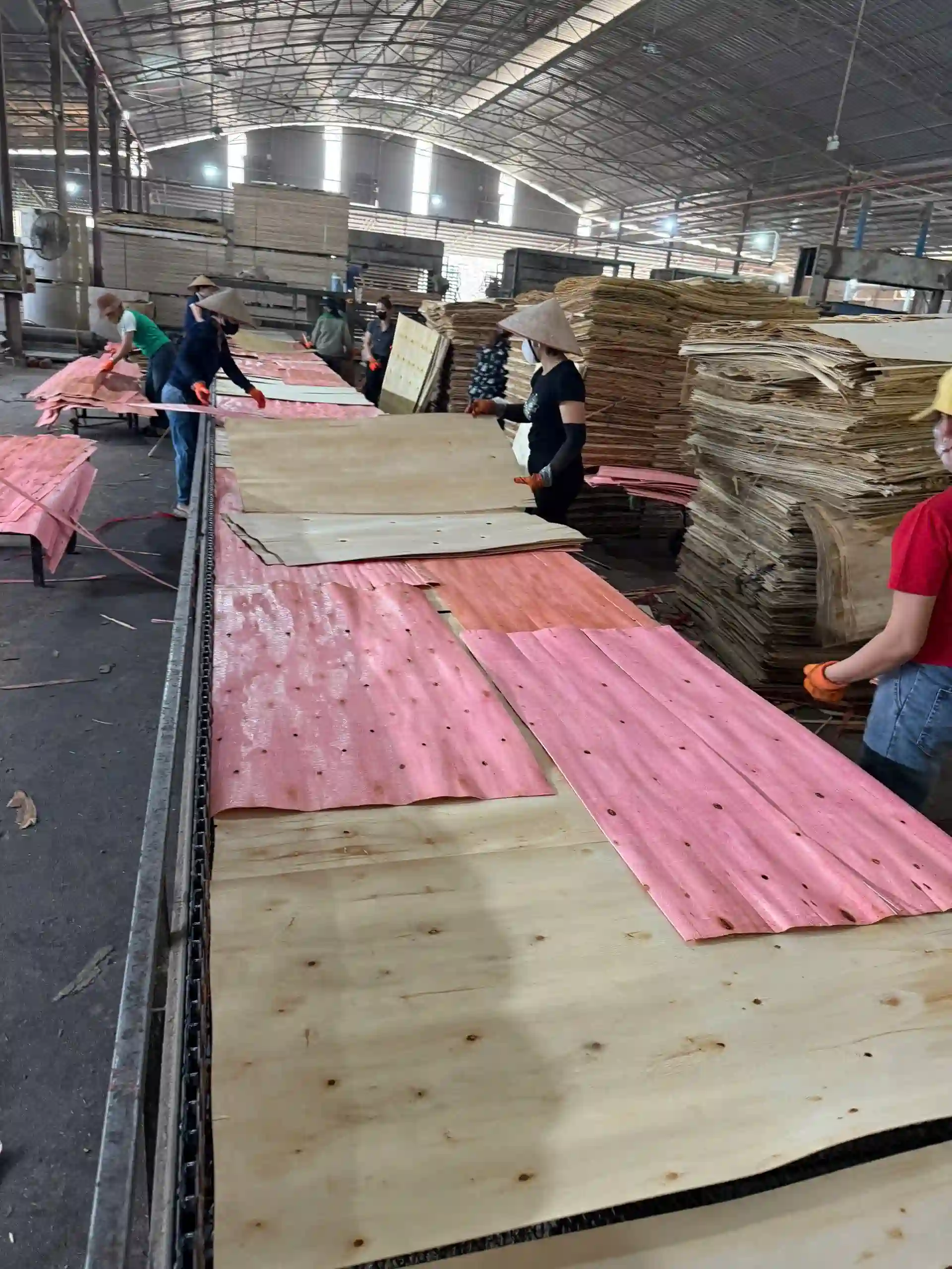 plywood edge quality inspection export standard test vietnam hcply