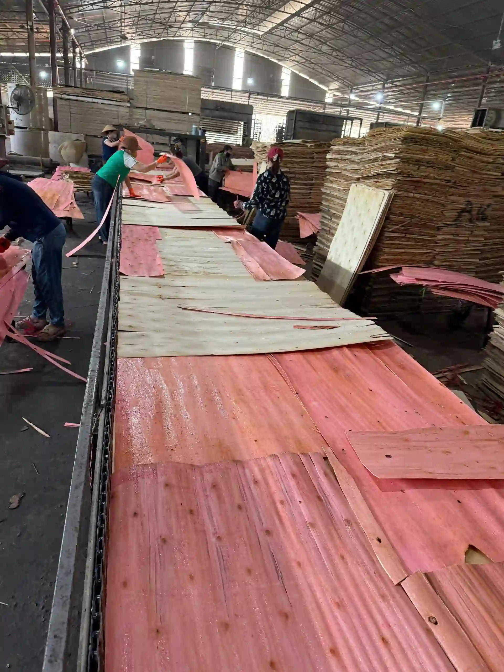 plywood bonding strength quality control vietnam factory hcply production line