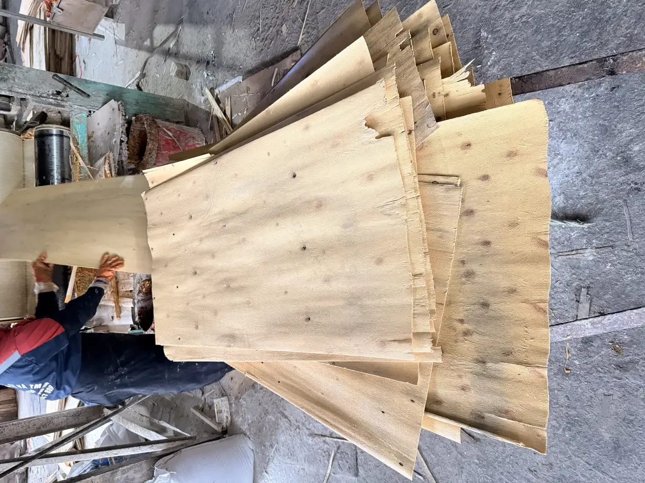 Vietnam plywood factory sanding line calibration thickness control HCPLY