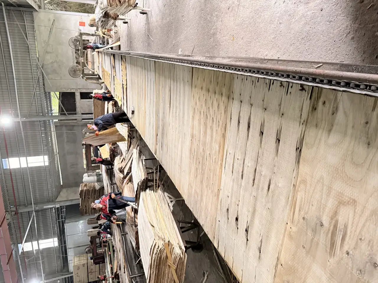 Vietnam plywood factory production line quality control anti-termite treatment hcply