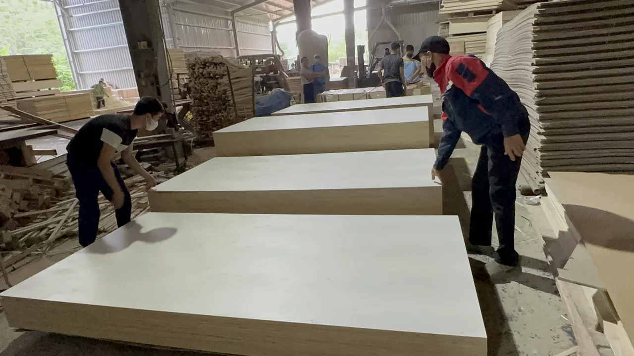 plywood hot press machine vietnam factory hcply melamine phenolic glue pressing