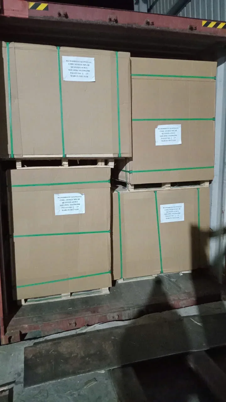 Export packing pallet plywood steel strapping PE wrap anti-mold protection hcply
