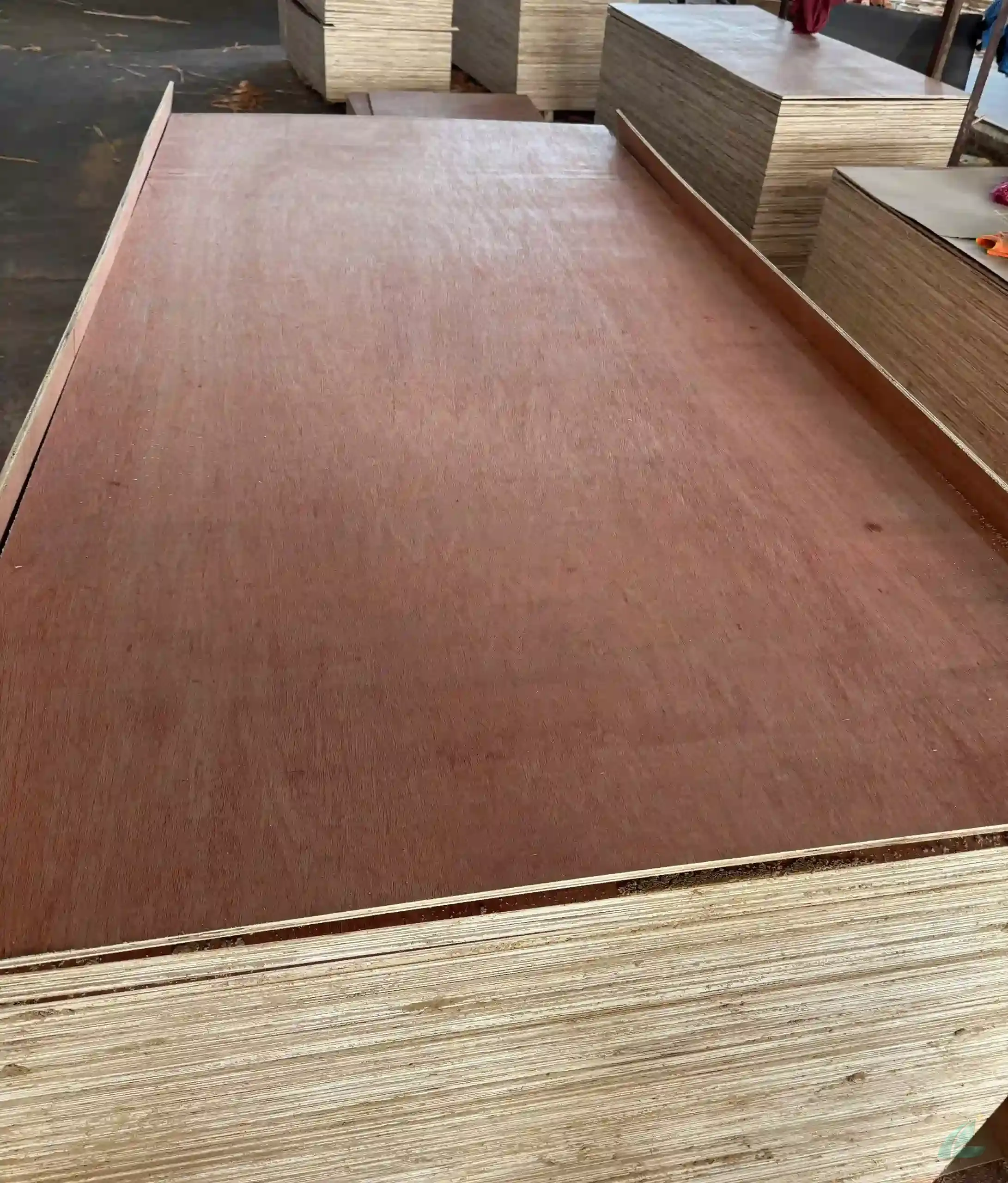 Bintangor Plywood