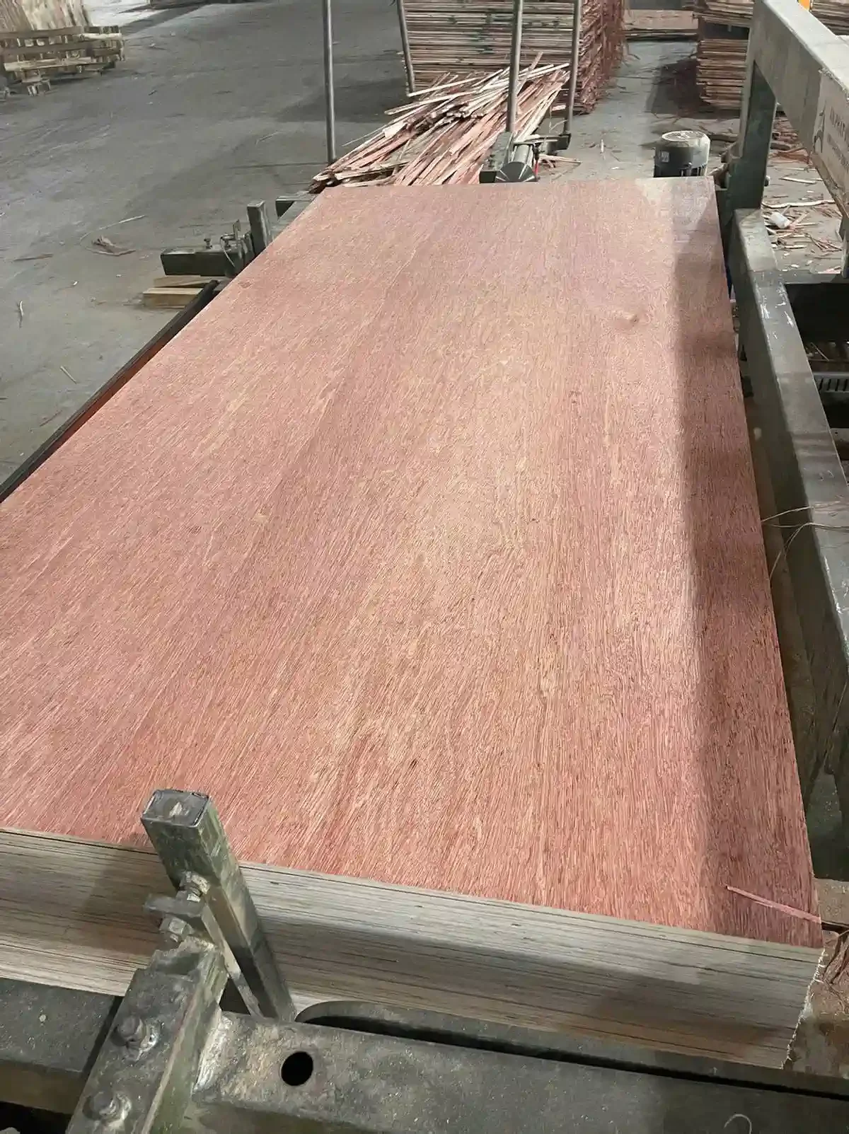 Bintangor plywood Vietnam factory direct export pallets HCPLY