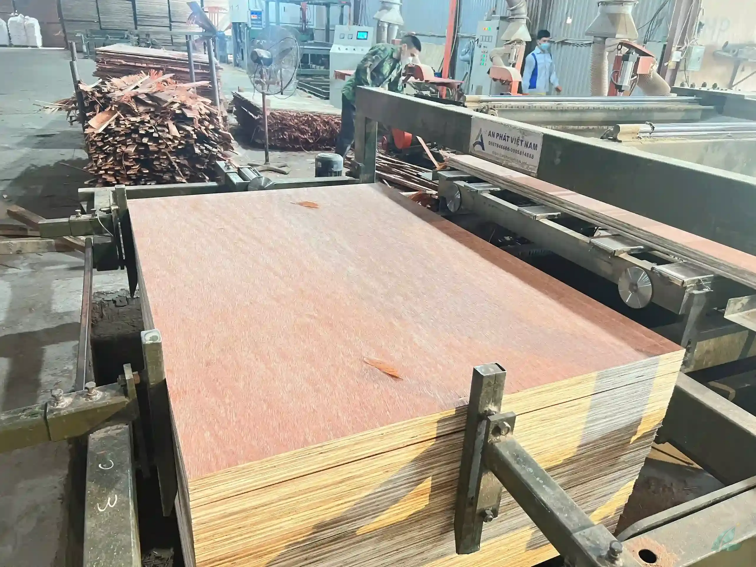 Bintangor plywood Vietnam export-ready pallet stack HCPLY manufacturer