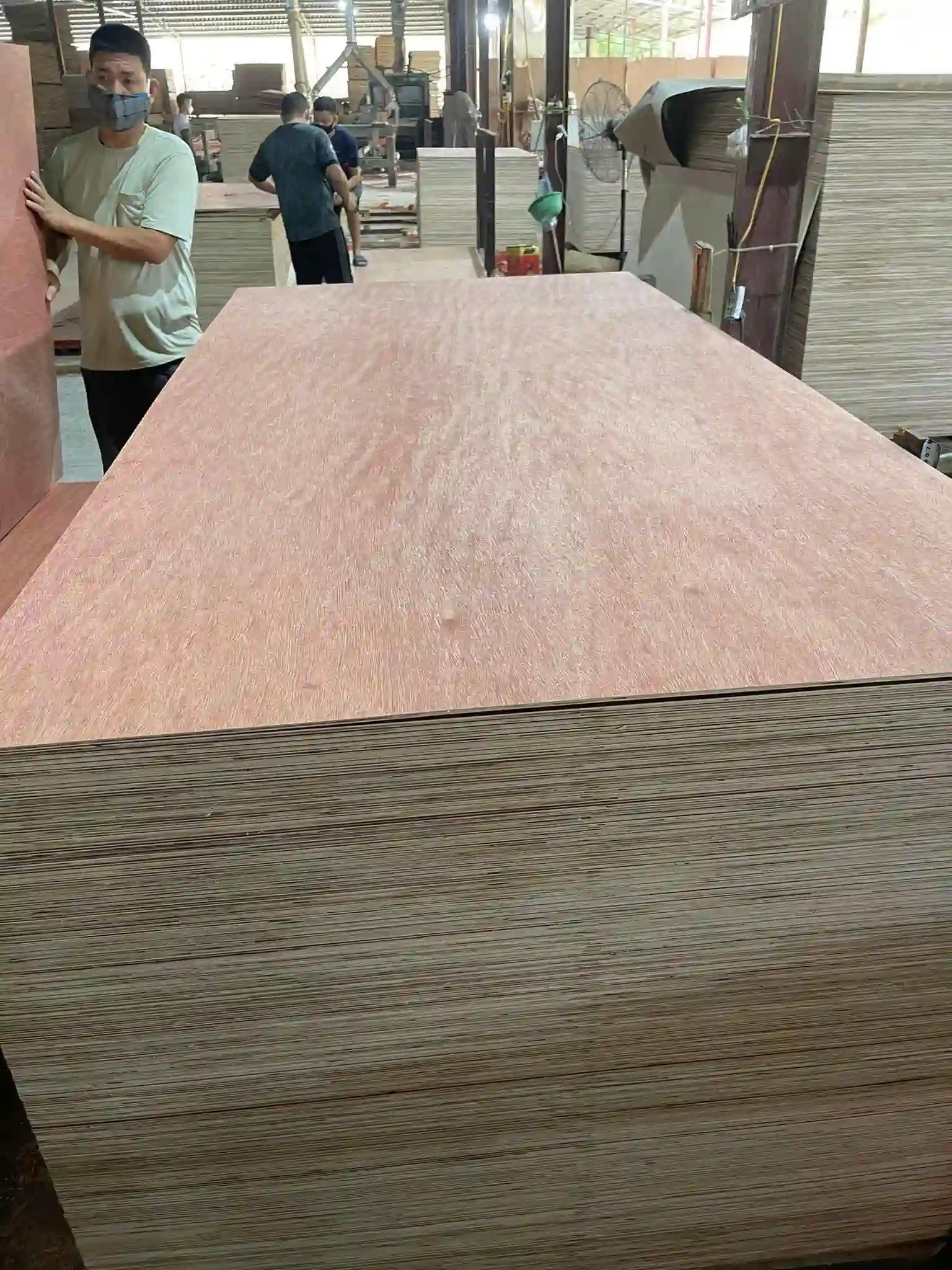 Bintangor plywood Vietnam factory production line HCPLY export batch