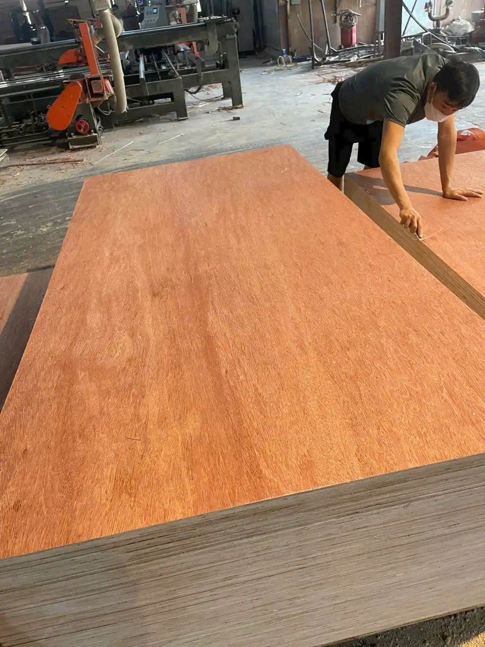 Bintangor plywood Vietnam surface veneer close-up export HCPLY