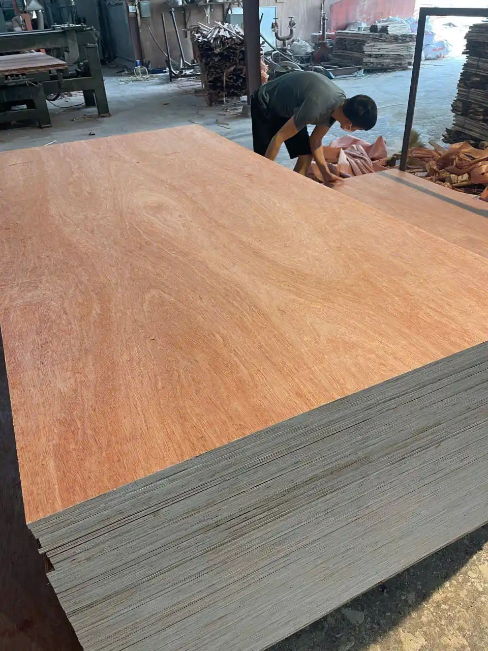 Bintangor plywood Vietnam final batch packing HCPLY export factory
