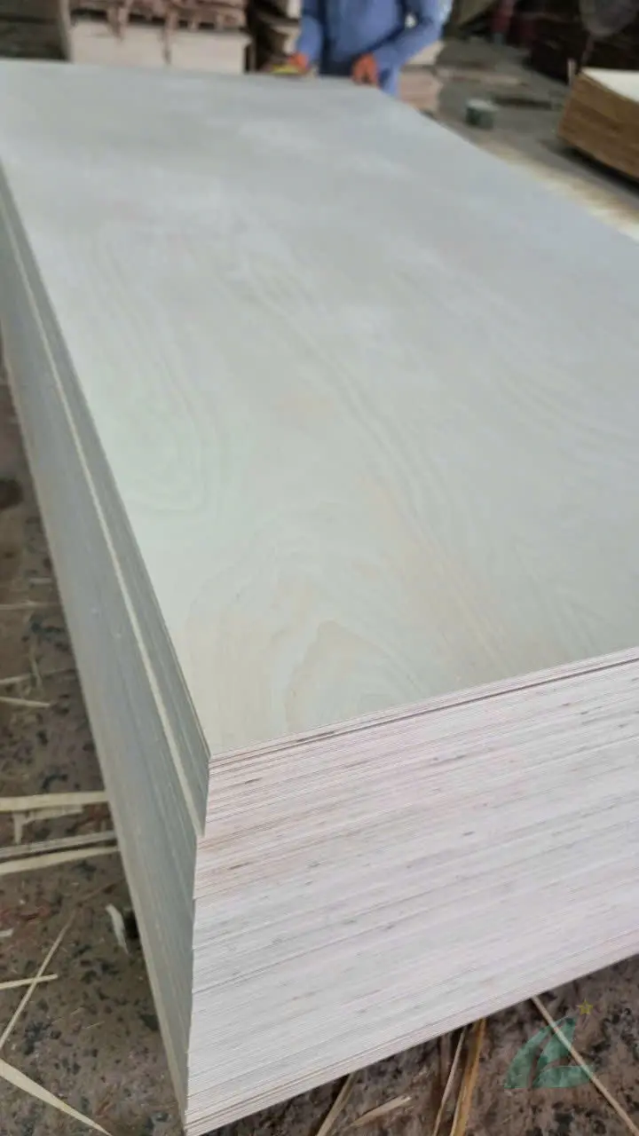 Birch plywood Vietnam surface grain detail D grade face veneer HCPLY