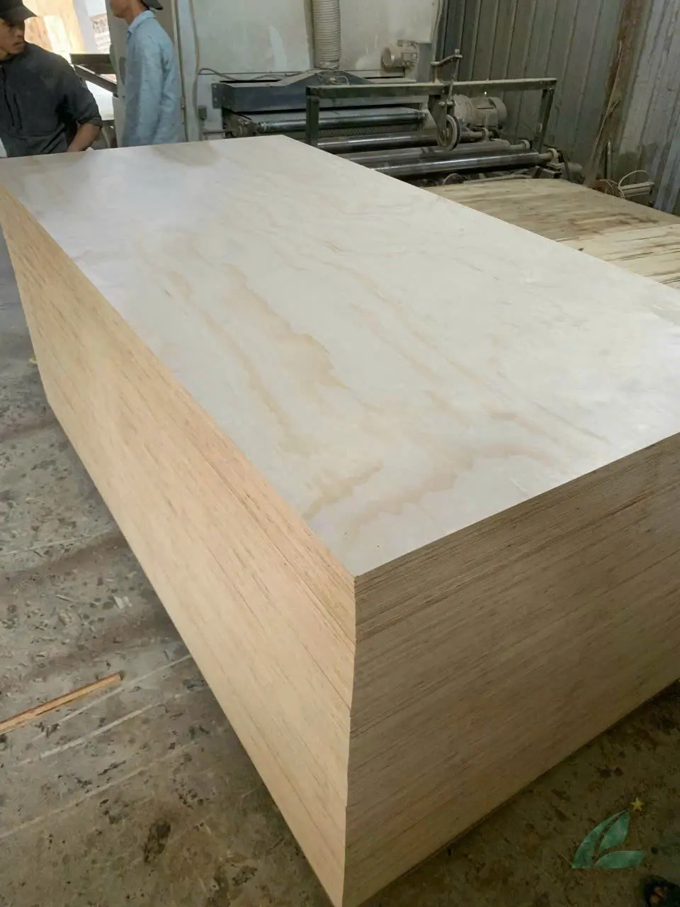 Birch plywood Vietnam export-ready panels stacked HCPLY factory direct