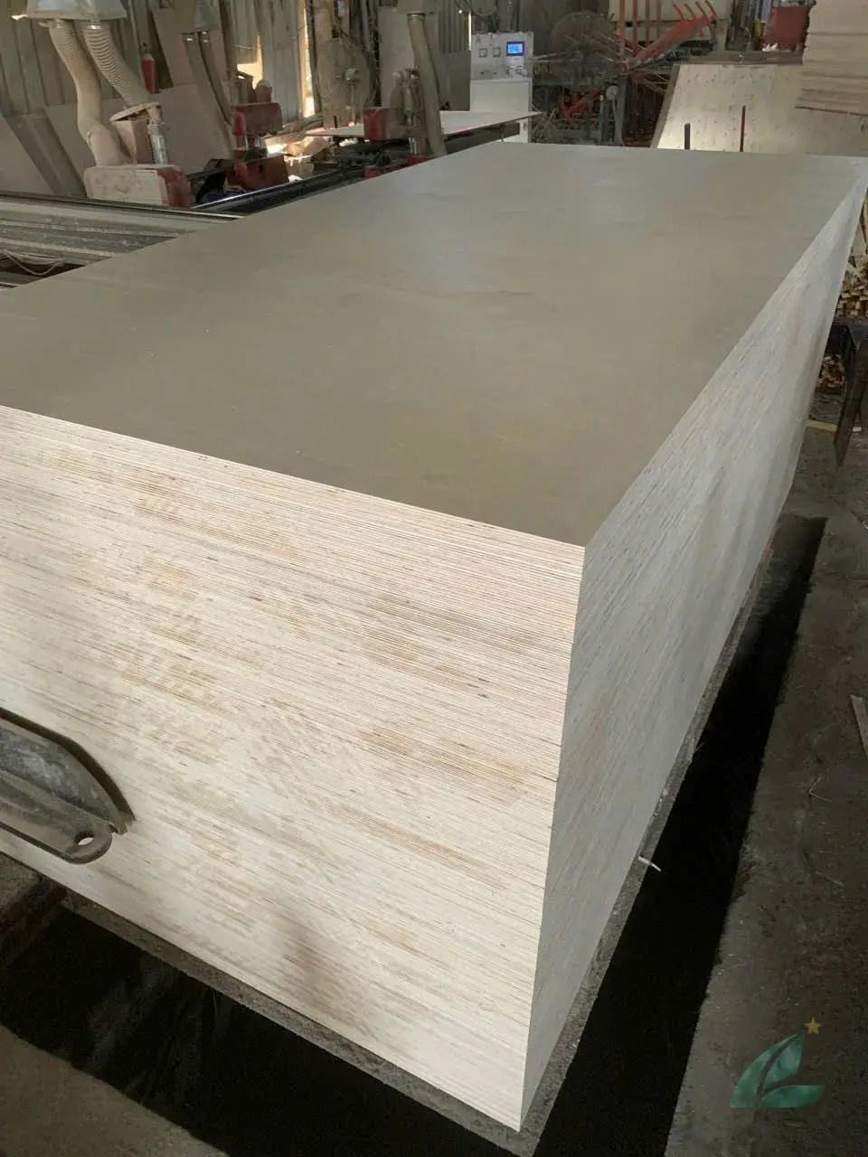 Birch Plywood