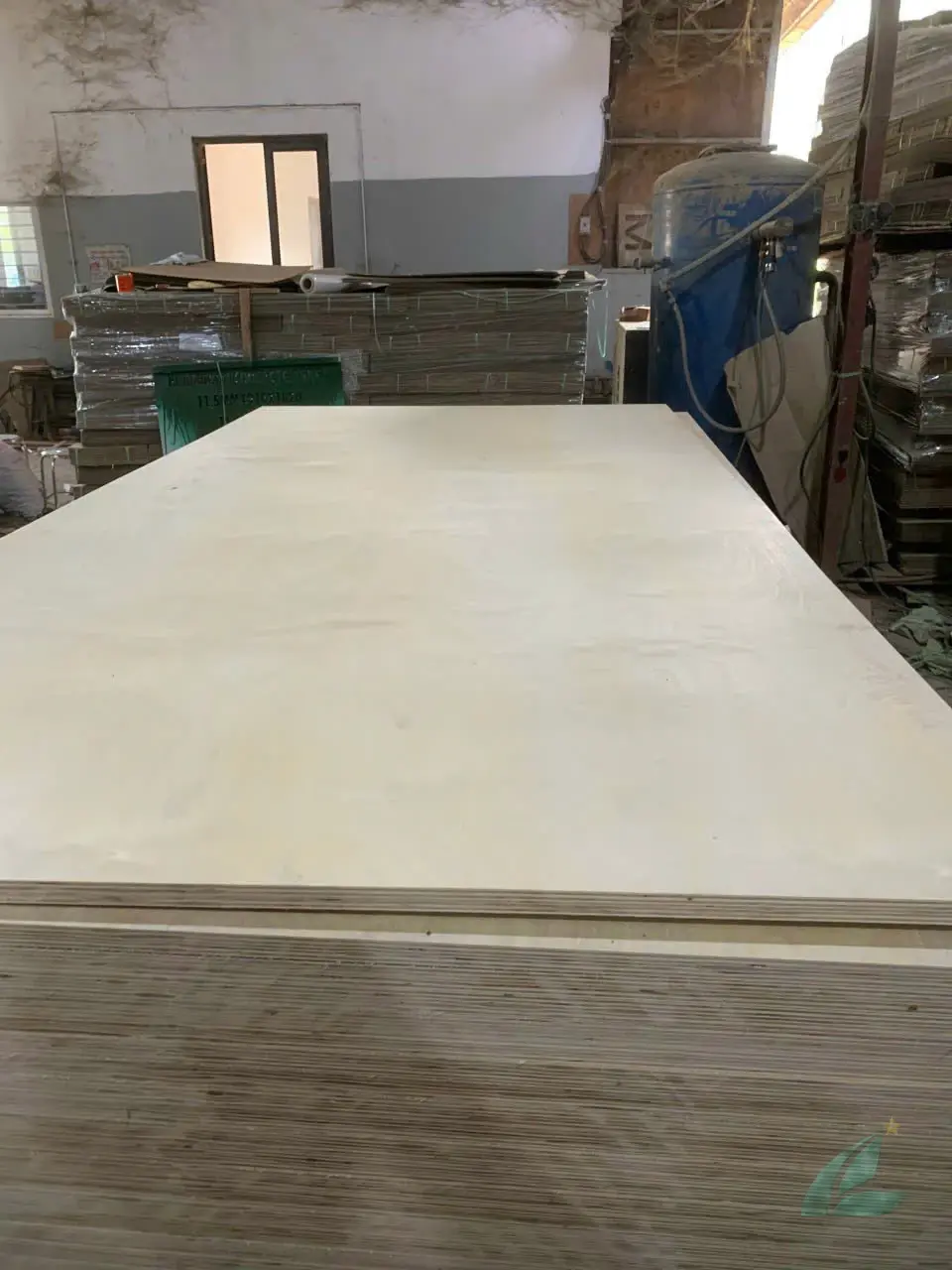 Birch plywood Vietnam production line HCPLY manufacturing export quality