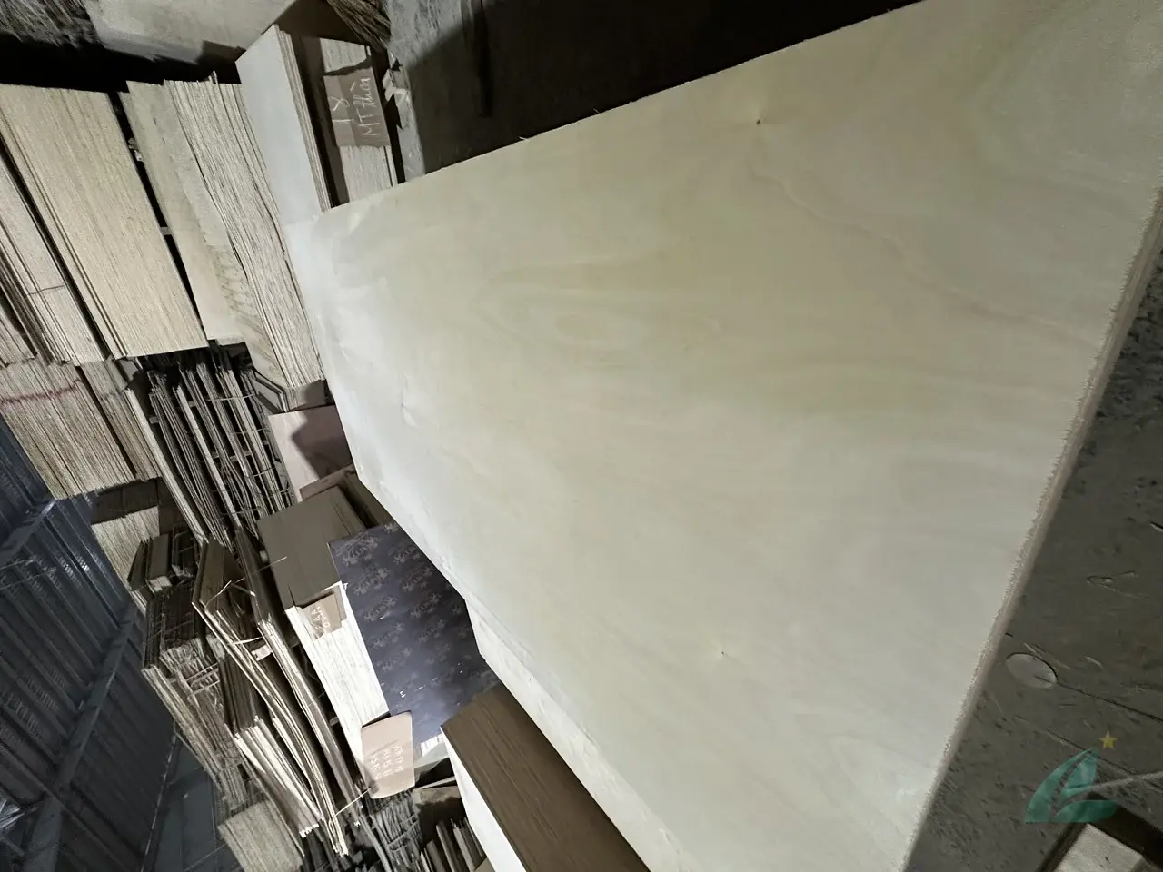 Birch plywood Vietnam factory batch production overview HCPLY