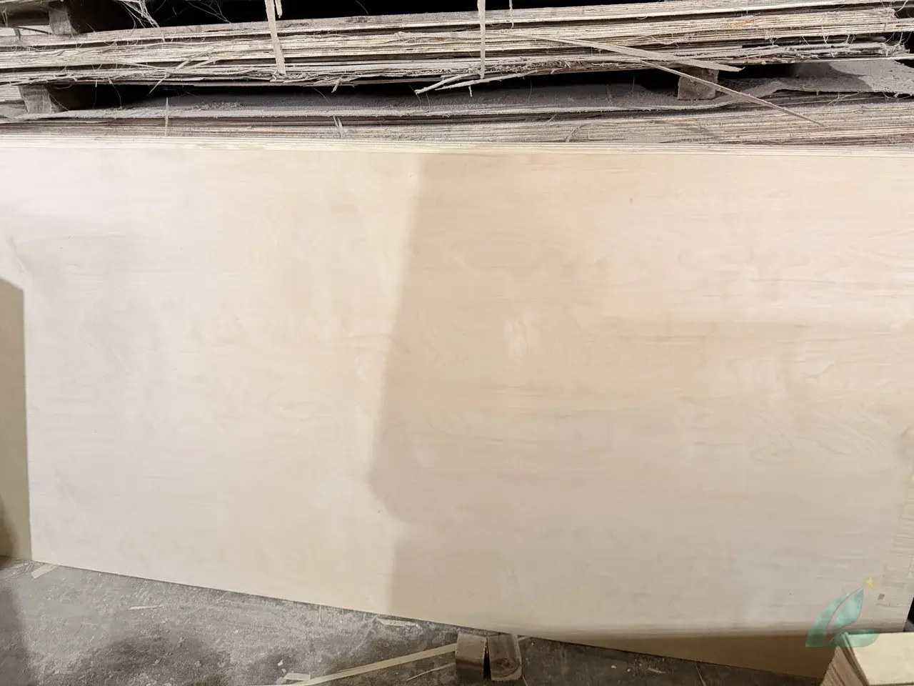 Birch plywood Vietnam export-ready bundles strapped HCPLY