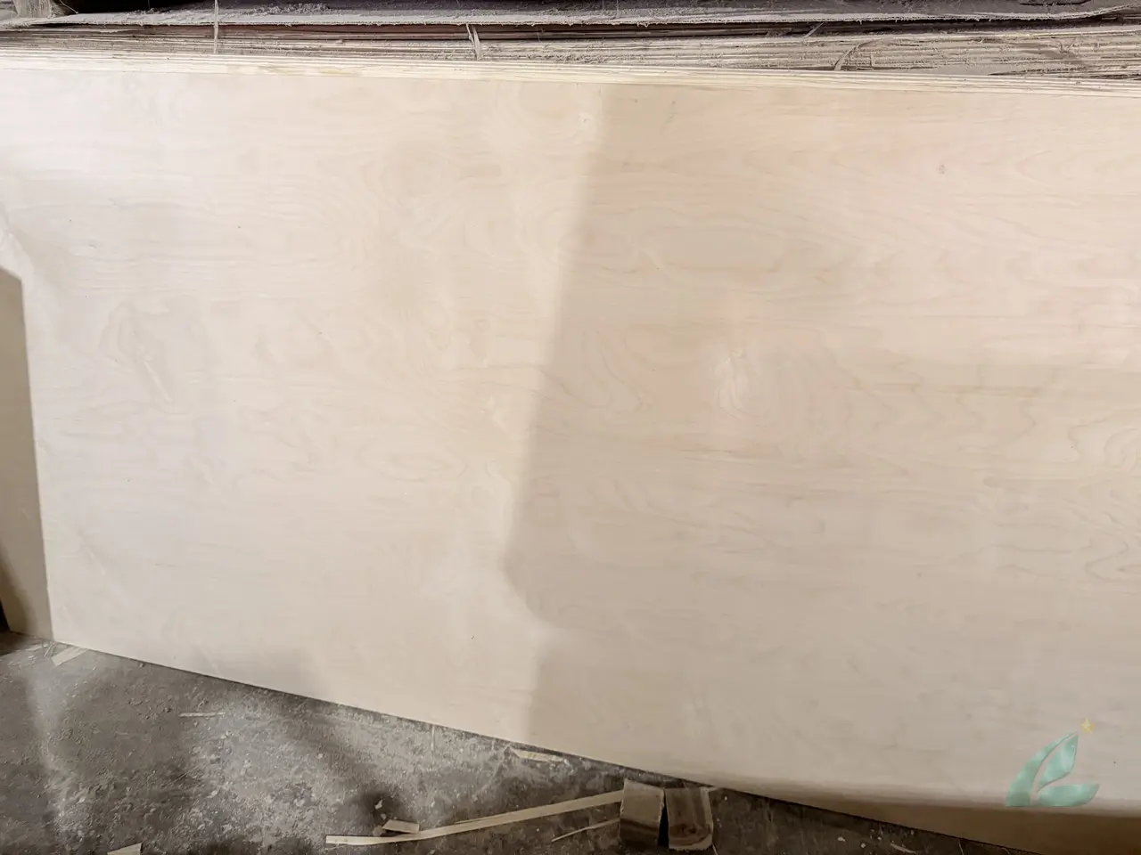 Birch plywood Vietnam cross-section core layers HCPLY factory