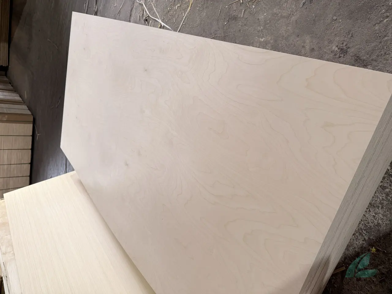 Birch plywood Vietnam export supplier stacked HCPLY