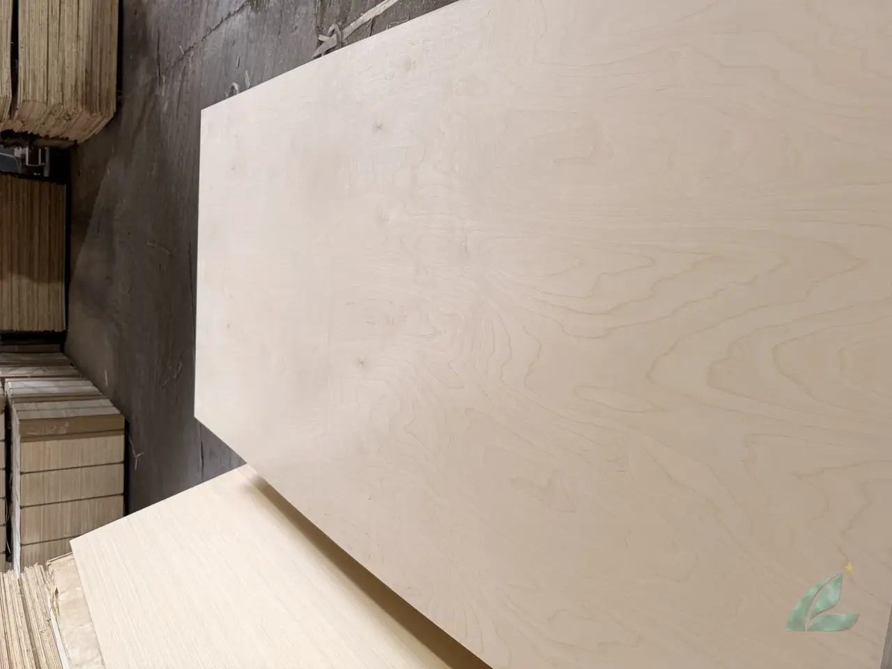 Birch plywood Vietnam D grade face veneer stack HCPLY manufacturer