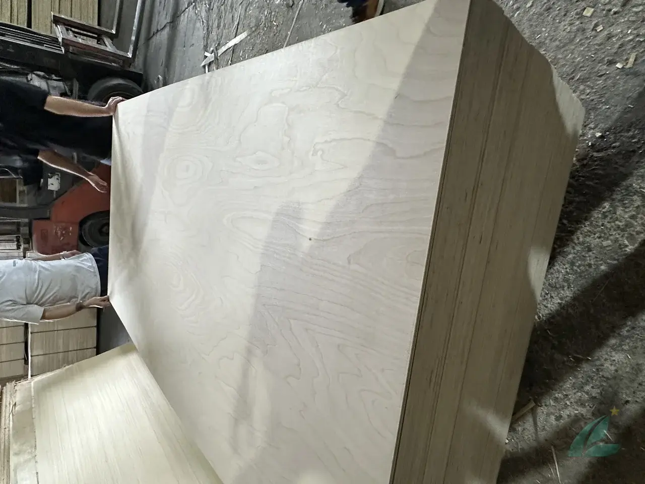 Birch plywood Vietnam production quality check HCPLY export grade