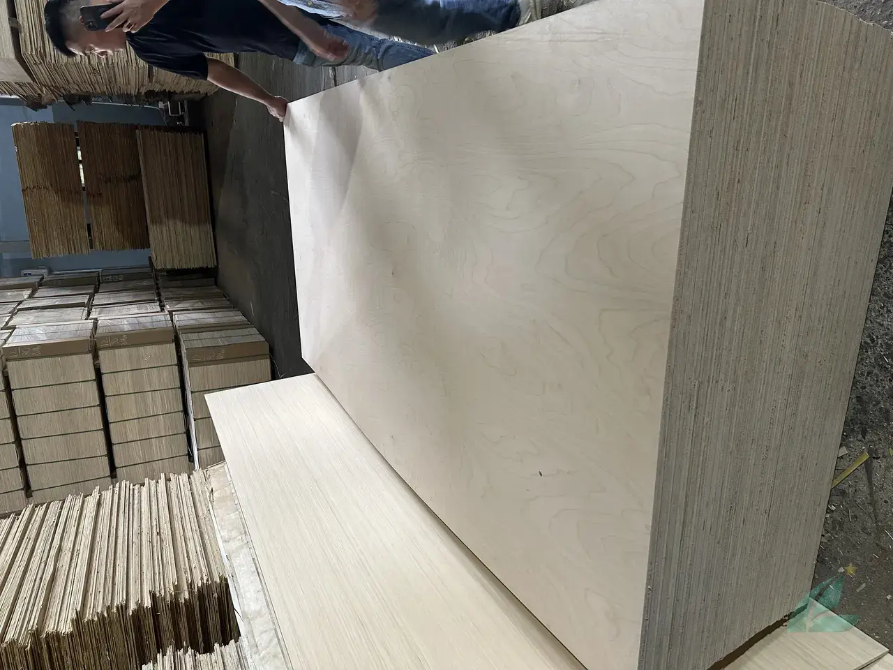 Birch plywood Vietnam factory loading preparation HCPLY