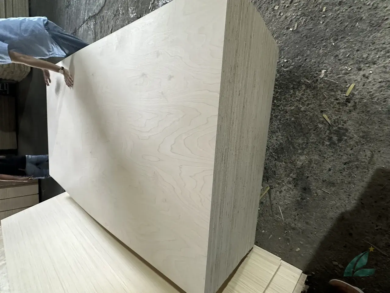 Birch plywood Vietnam factory overview export batch HCPLY