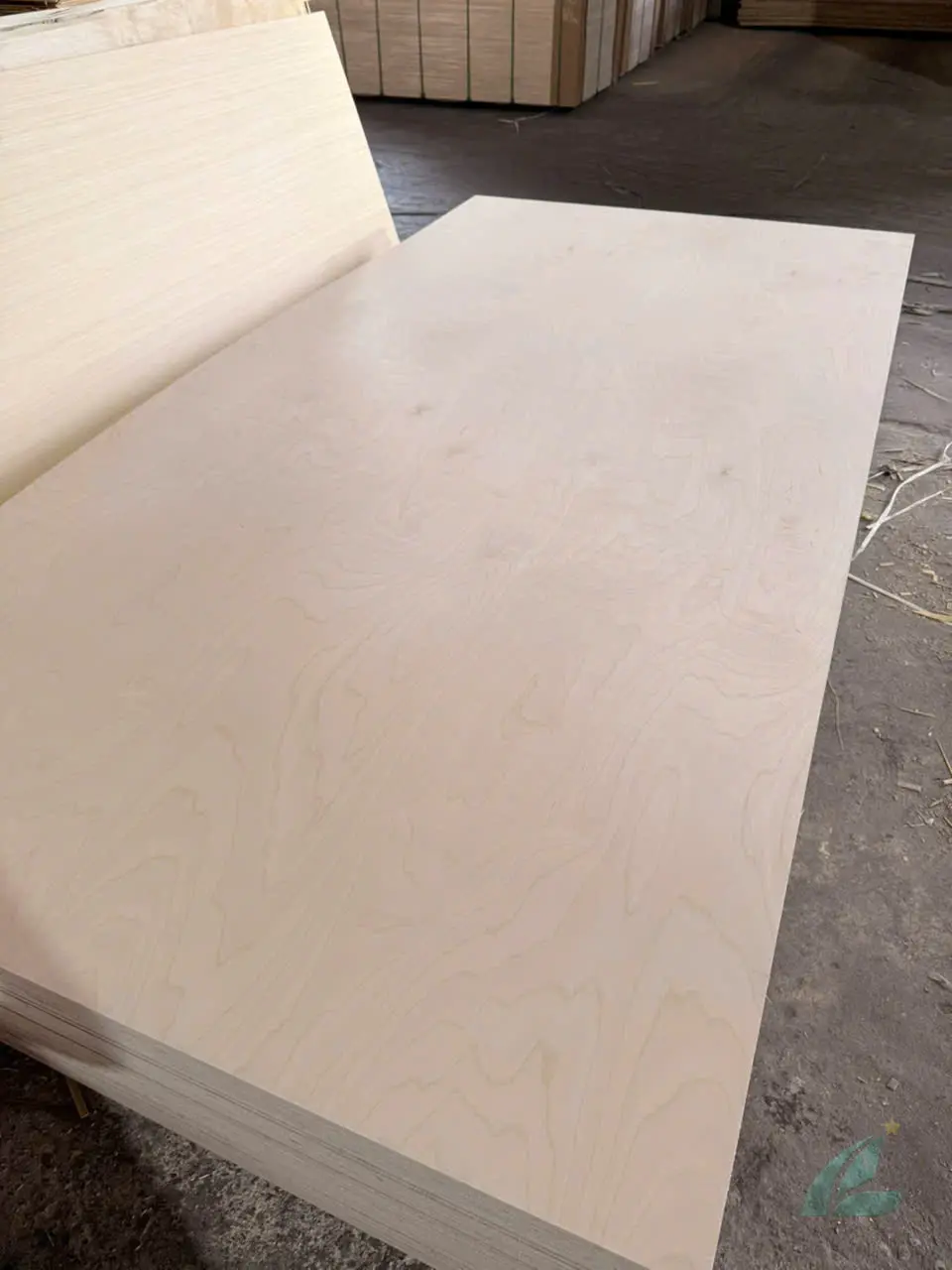 Birch plywood Vietnam export-ready production HCPLY factory direct