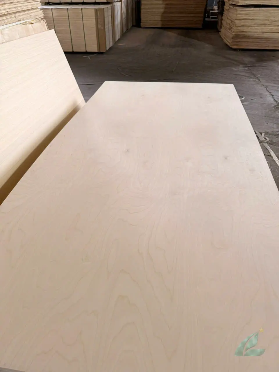Birch plywood Vietnam quality control final HCPLY export