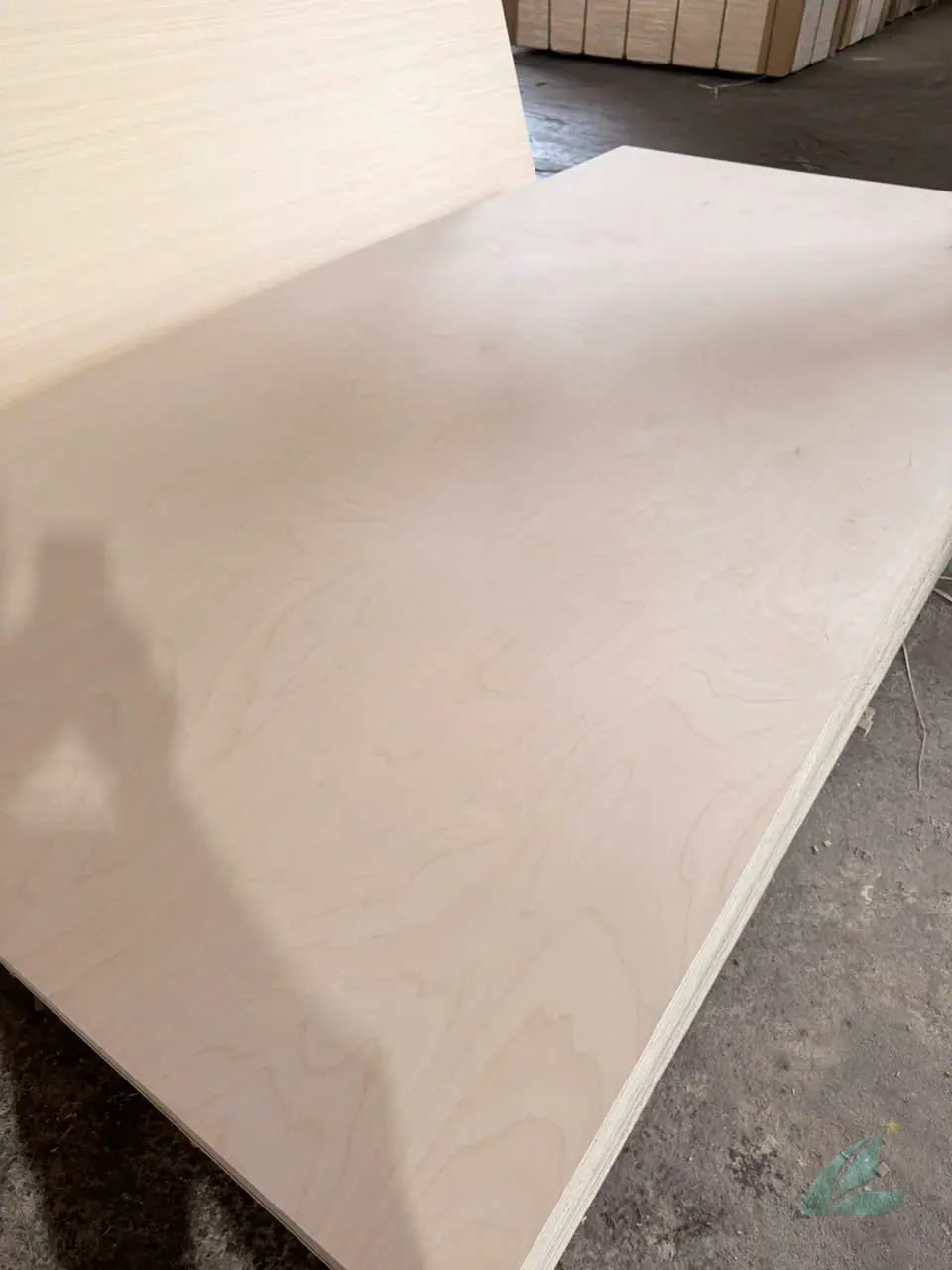 Birch plywood Vietnam final batch overview HCPLY factory