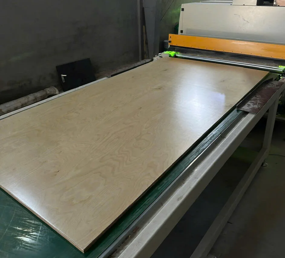 birch uv coated plywood vietnam kitchen cabinet grade HCPLY