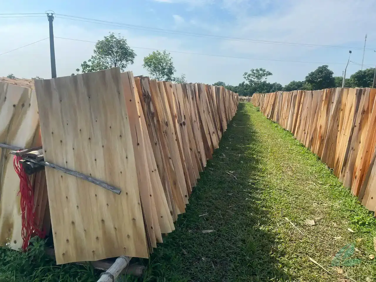 Acacia core veneer Vietnam export bundles HCPLY factory
