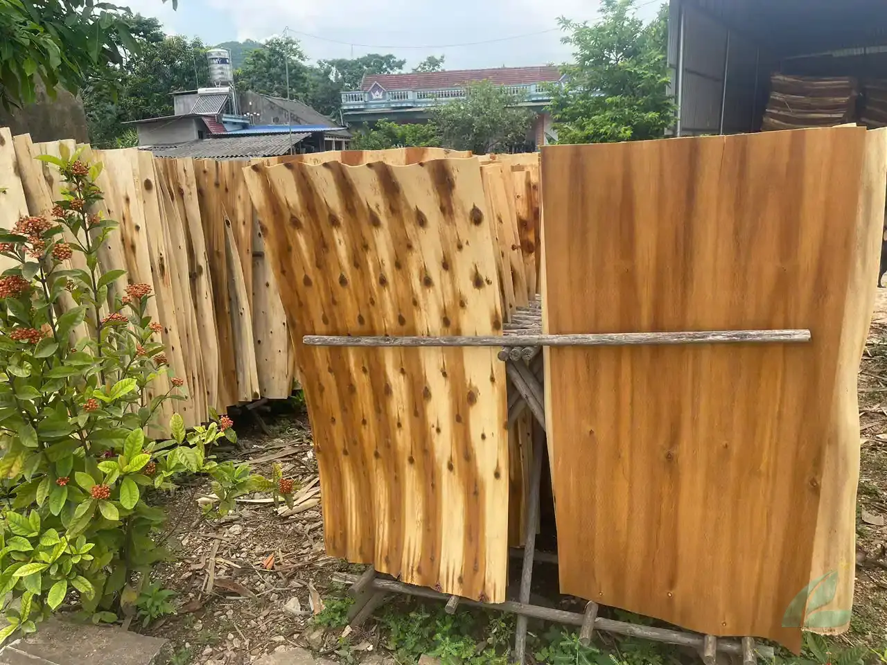 Acacia core veneer Vietnam bundle inspection HCPLY manufacturer