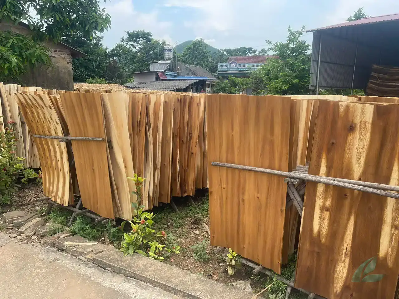 Acacia core veneer Vietnam factory production HCPLY