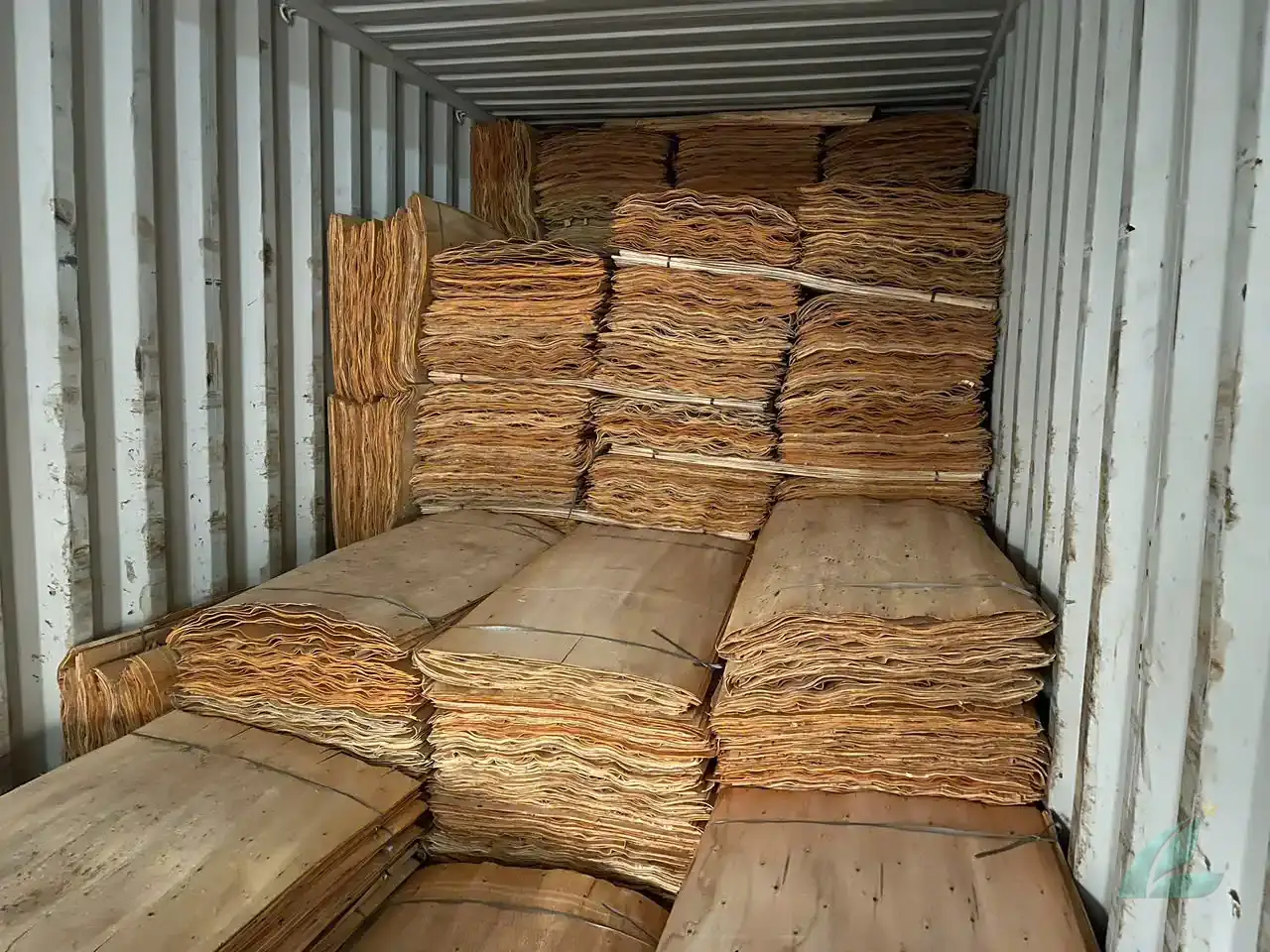 Eucalyptus core veneer Vietnam rotary-cut sheets bundle HCPLY export