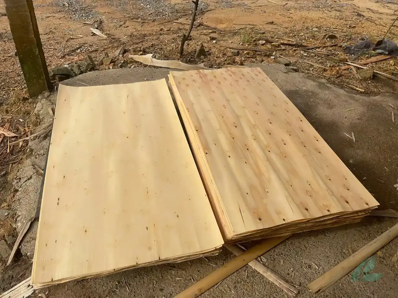 Eucalyptus core veneer Vietnam sheets rotary-cut HCPLY