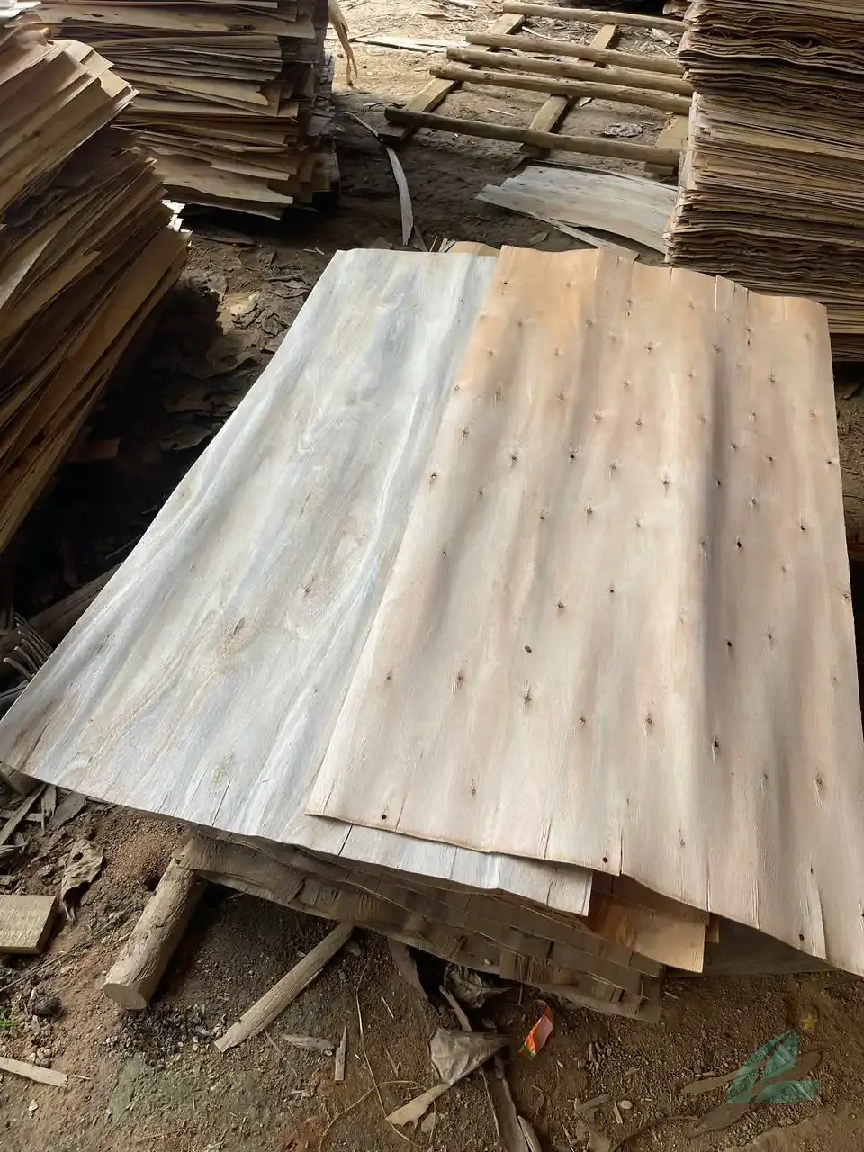 Eucalyptus core veneer Vietnam production batch HCPLY factory