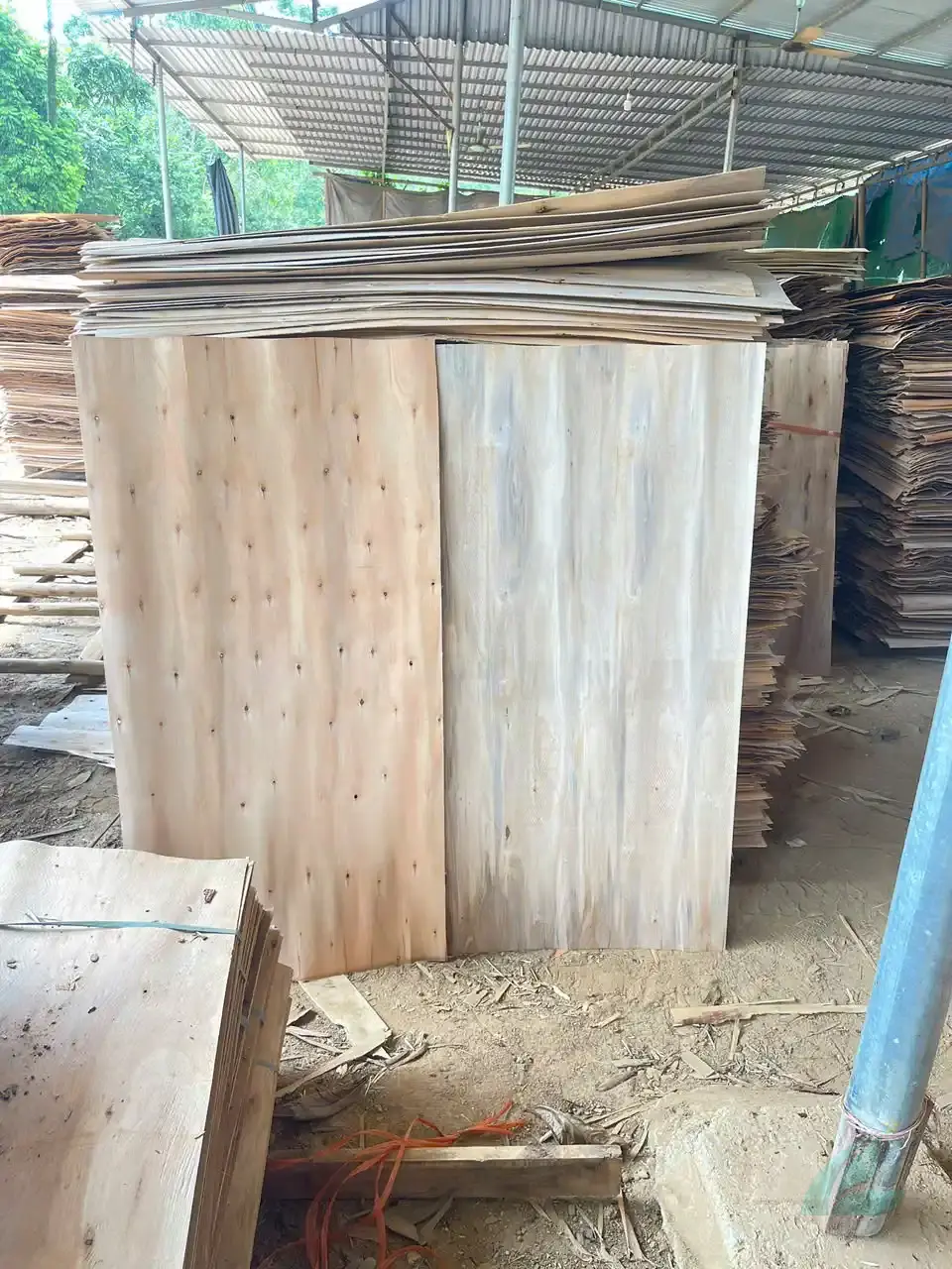 Core veneer Vietnam quality inspection HCPLY factory