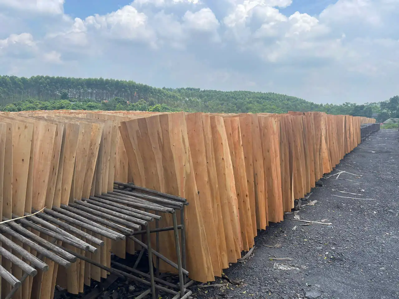 Eucalyptus plywood Vietnam export hardwood grade hcply 001