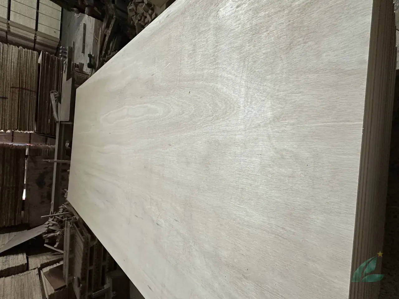 Eucalyptus plywood Vietnam export hardwood grade hcply 002