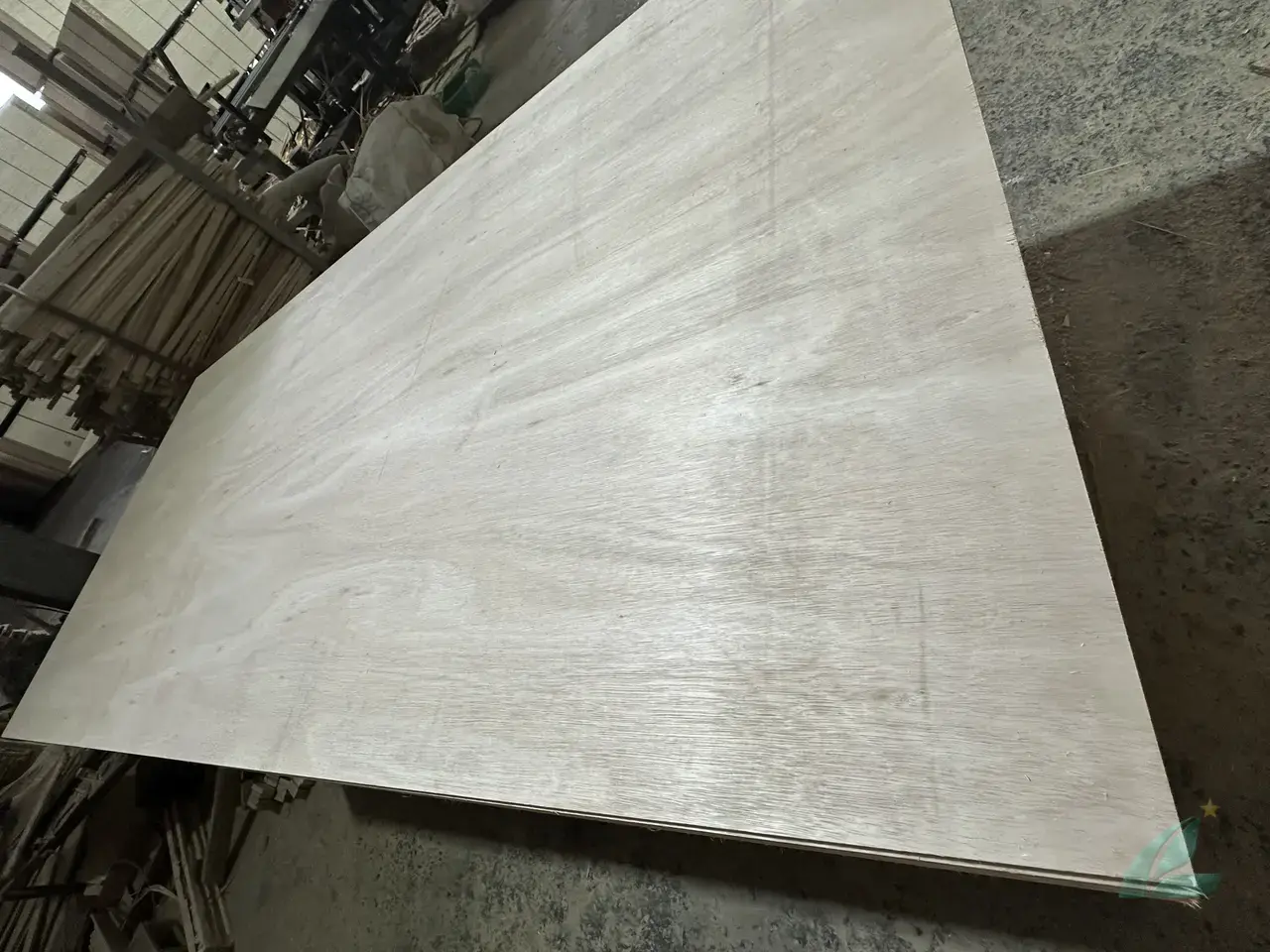 Eucalyptus plywood Vietnam export hardwood face HCPLY