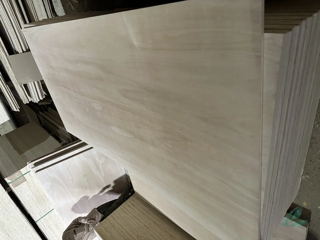 Eucalyptus plywood Vietnam factory production HCPLY