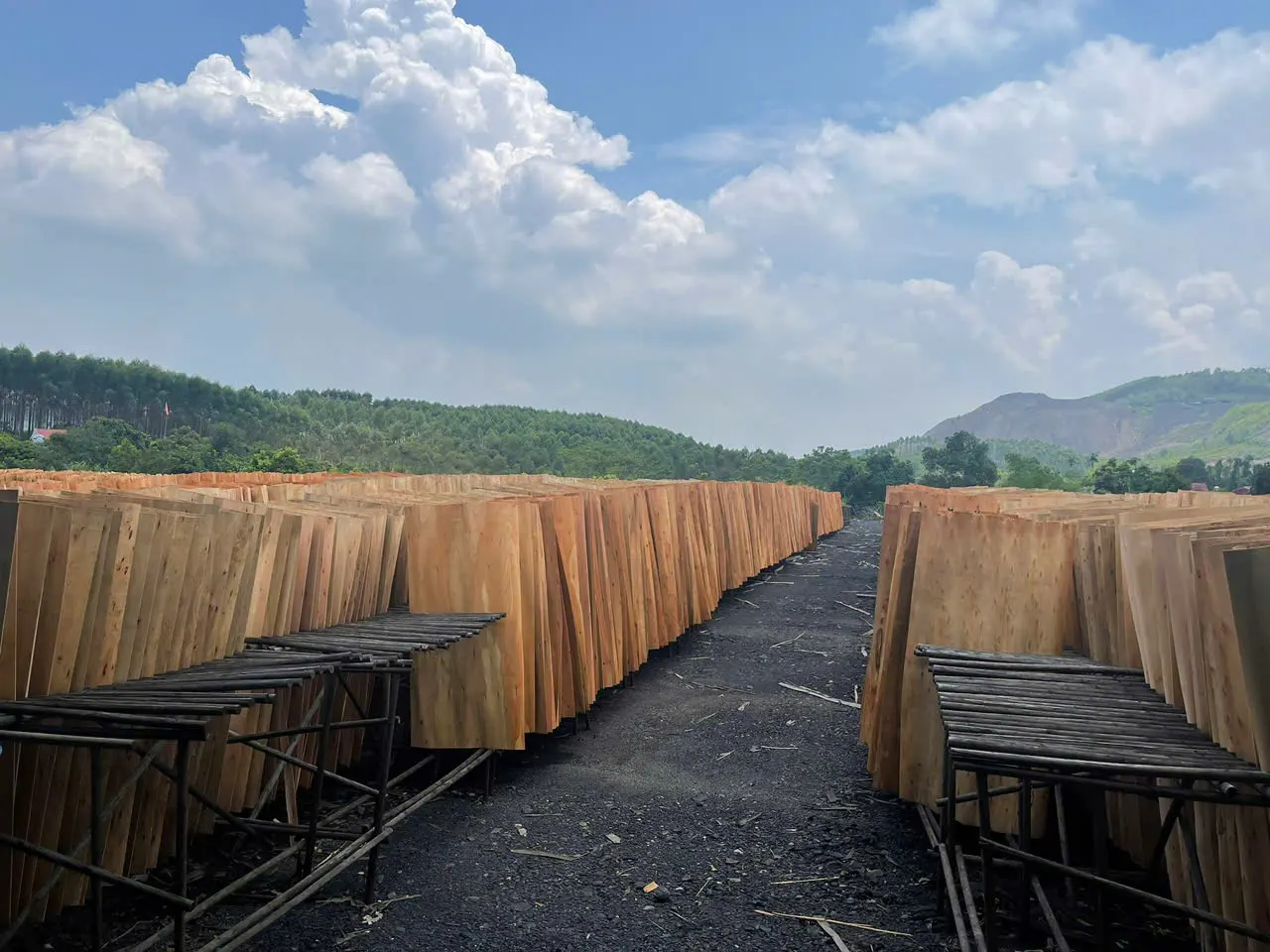 Eucalyptus plywood Vietnam export hardwood grade hcply 025