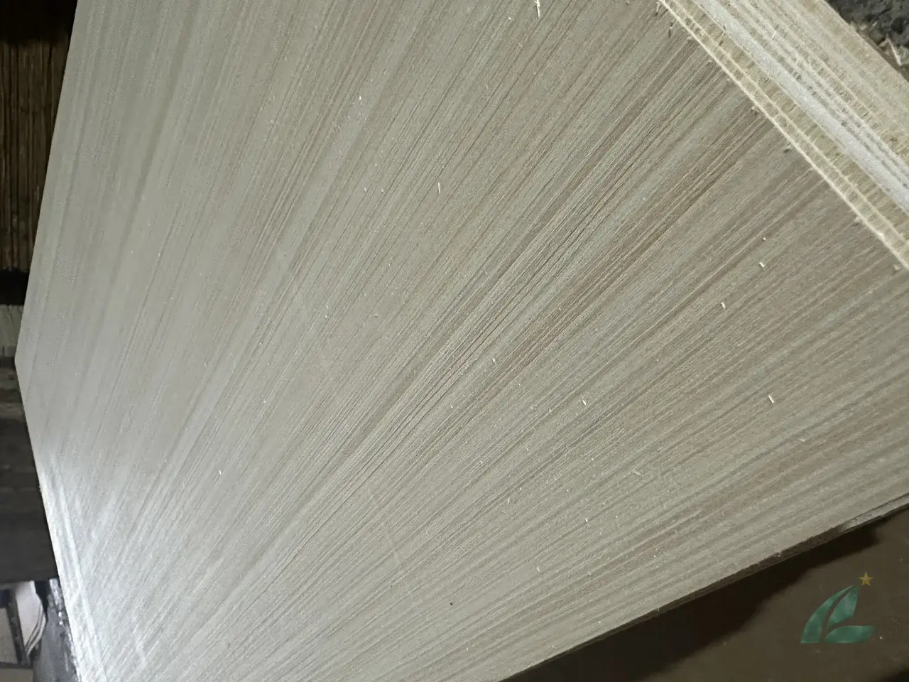 EV plywood Vietnam engineered veneer decorative export hcply 002