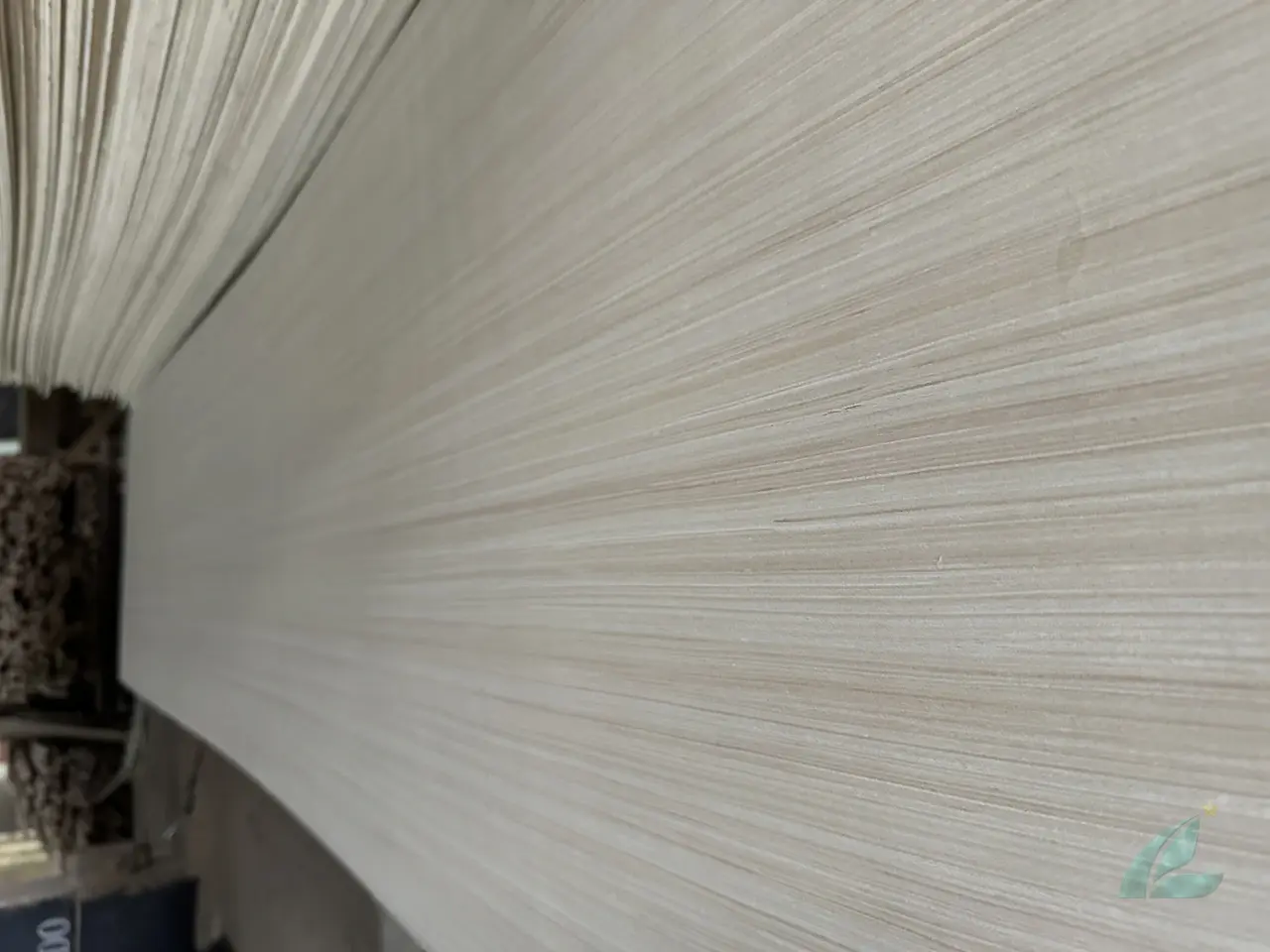 EV plywood Vietnam engineered veneer decorative export hcply 003