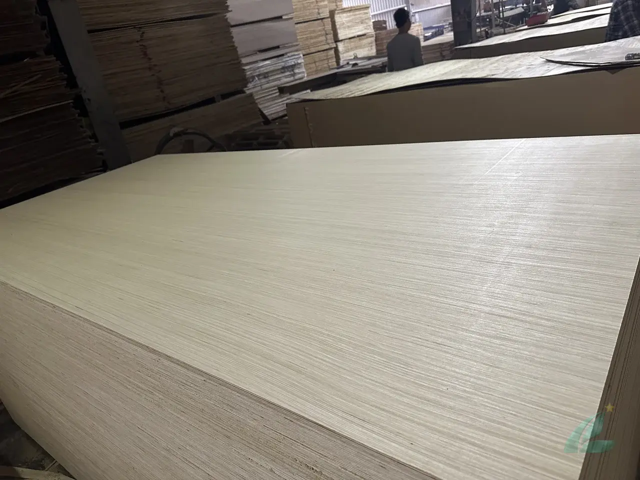 EV plywood Vietnam engineered veneer decorative export HCPLY