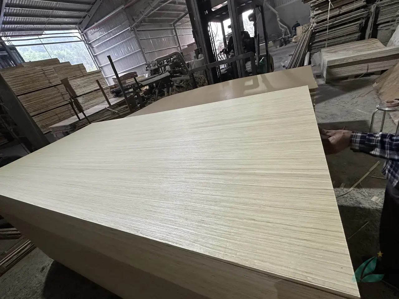 EV plywood Vietnam engineered veneer decorative export hcply 010