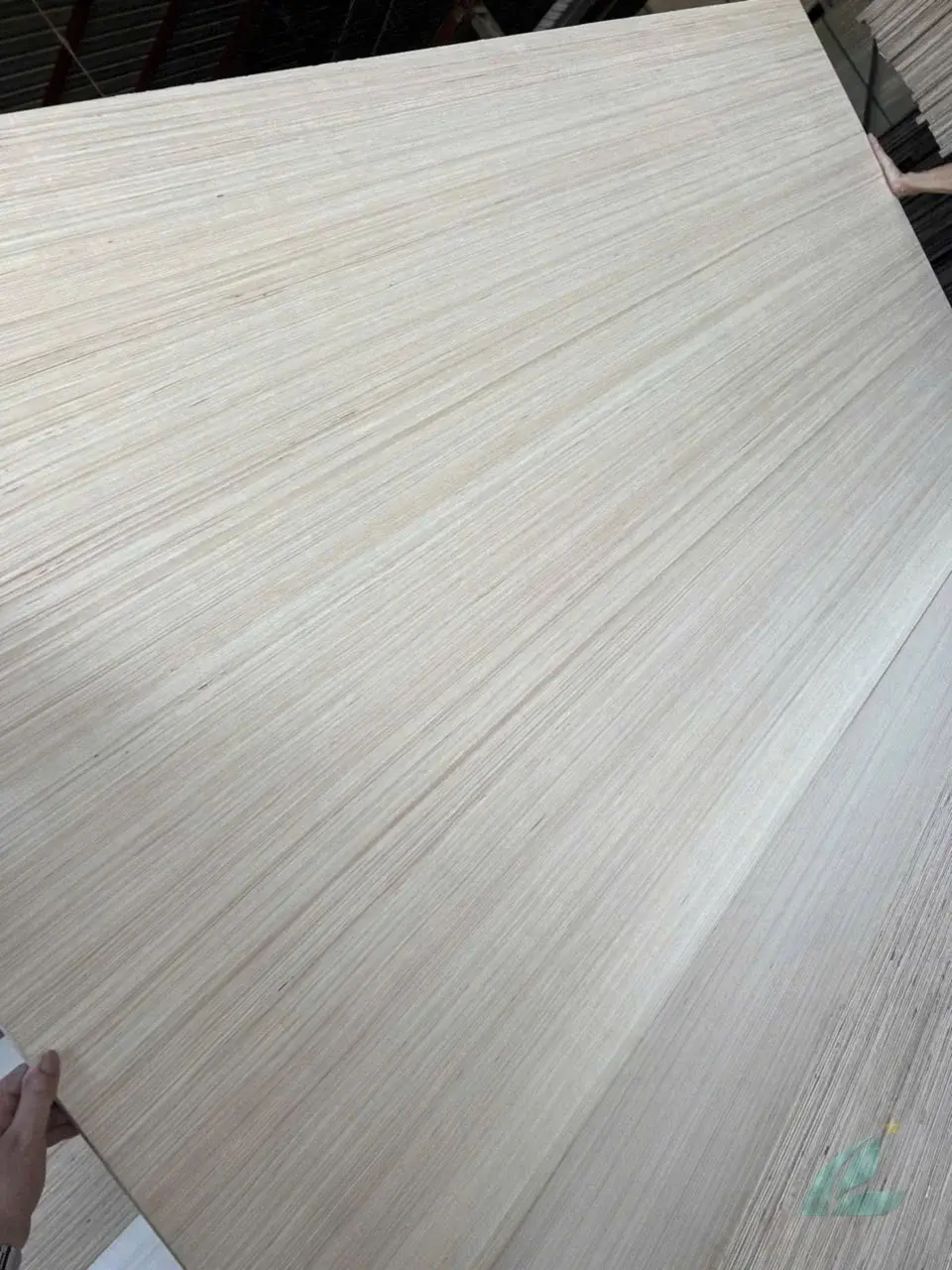 EV plywood Vietnam engineered veneer decorative export hcply 025