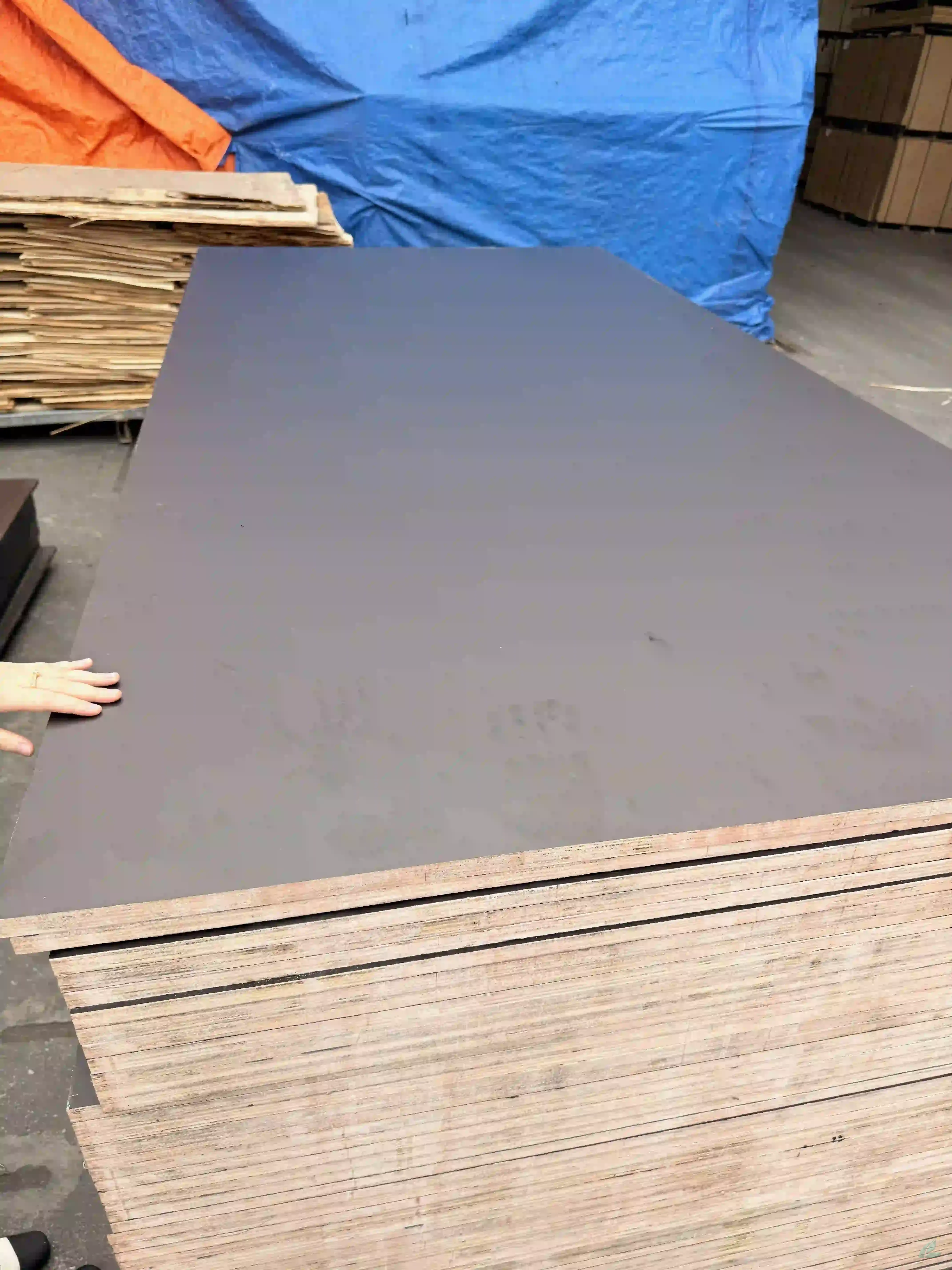 Film Faced Plywood — HCPLY - Vietnam Plywood