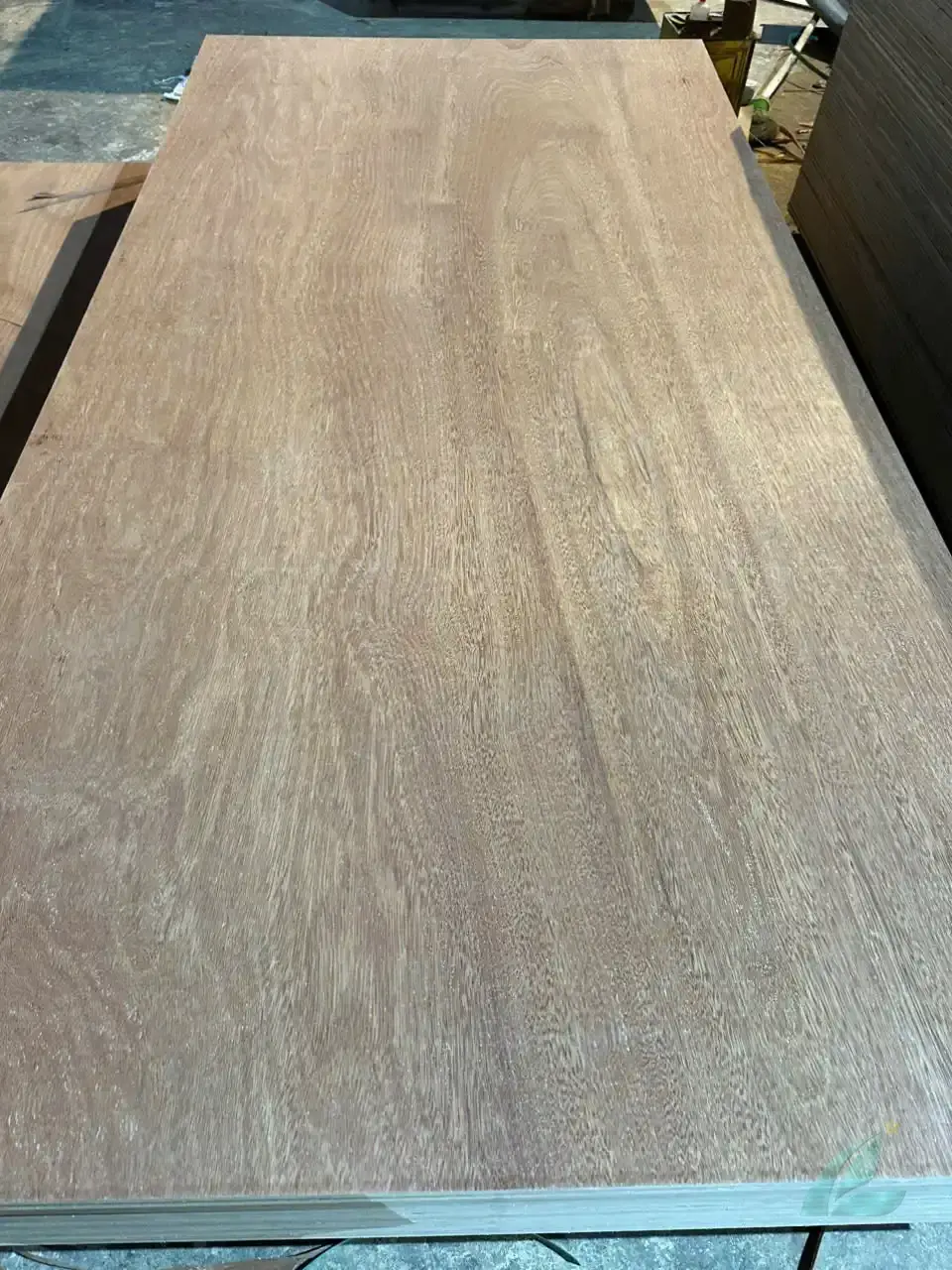 Gurjan Plywood — HCPLY - Vietnam Plywood